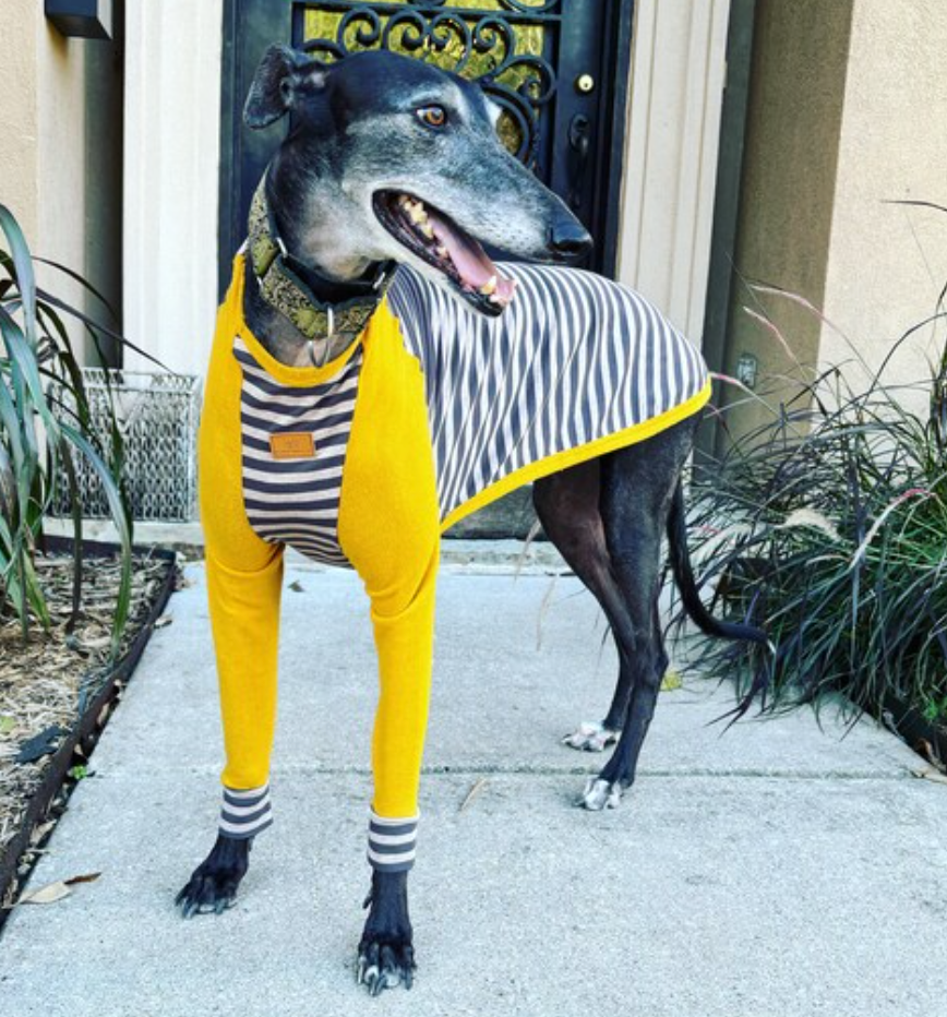 Brown Stripe / Mustard Sleeve Lightweight Pajama Shirt